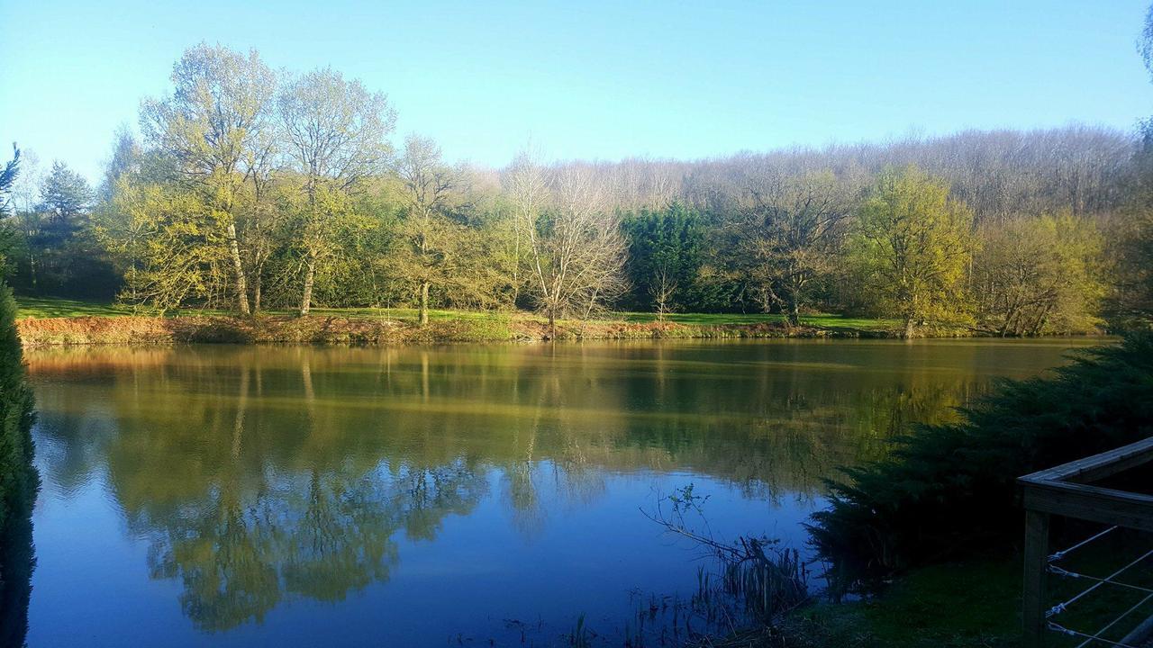 Camping De La Reuille Flere-la-Riviere Exteriör bild